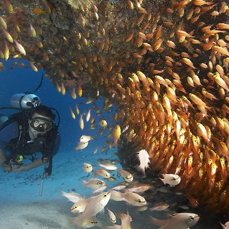 Zawadi Hotel, Zanzibar Michamvi Eksteriør bilde