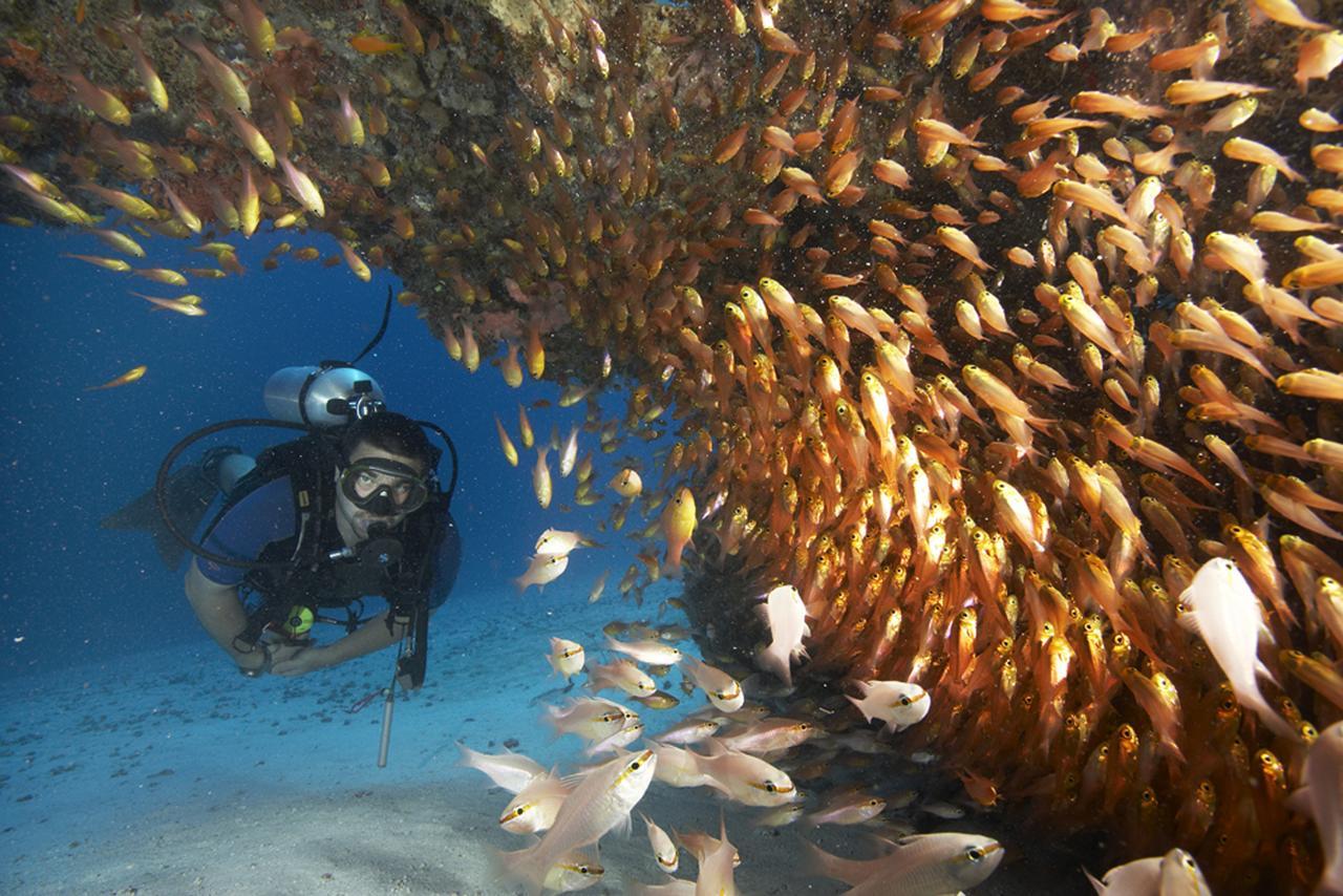 Zawadi Hotel, Zanzibar Michamvi Eksteriør bilde
